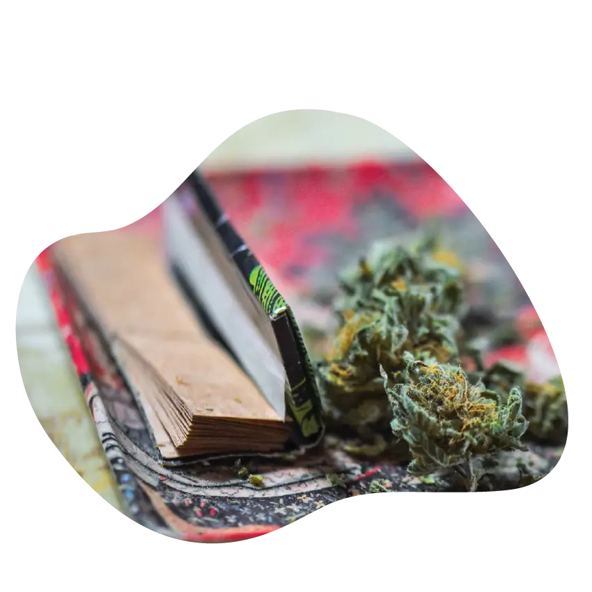 Rolling papers and cannabis flower on a colorful tray, representing accessories and products available at Housing Works Cannabis Co. dispensary.