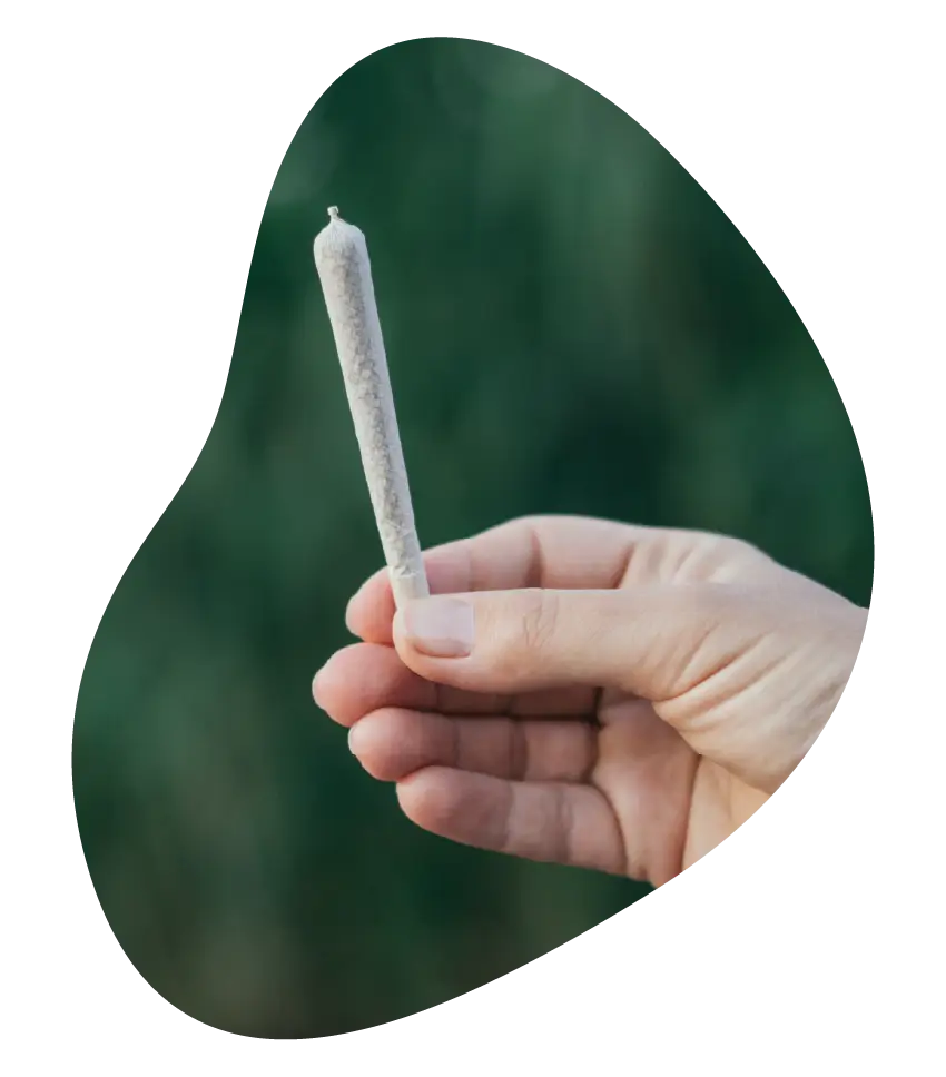 Hand holding a pre-rolled cannabis joint against a blurred green background.
